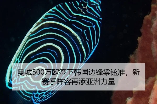 man-cheng-wan-ou-qian-xia-han-guo-bian-feng-liang-xuan-zhun-xin-sai-ji-zhen-rong-zai-tian-ya-zhou-li-liang-3-500.jpg